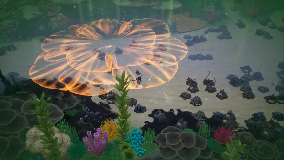 Coral Island: podvodní scéna s oranžovou medúzou nad korály a postavou v mělké vodě.